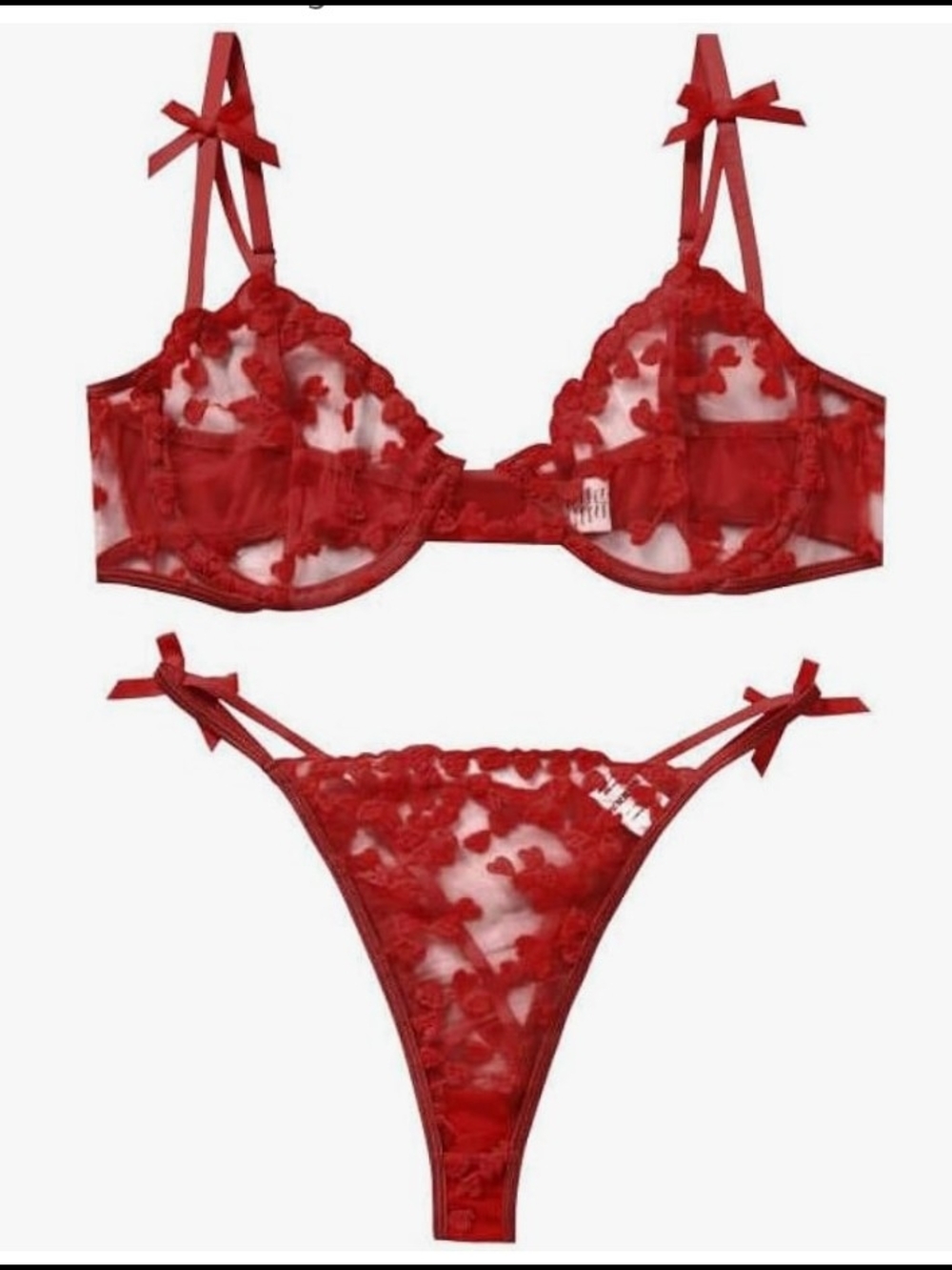 Sheer Red Embroidered Lace Bra & Thong Set - Women's Intimates